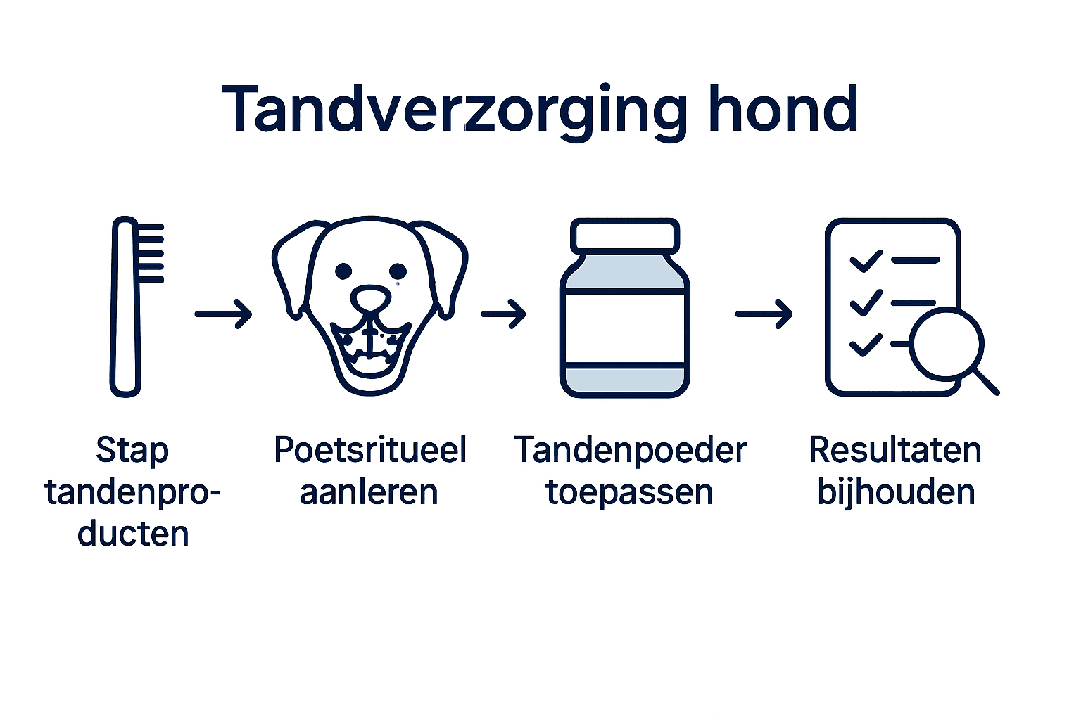 Vijf stappen voor een gezond gebit bij je hond – handige infographic