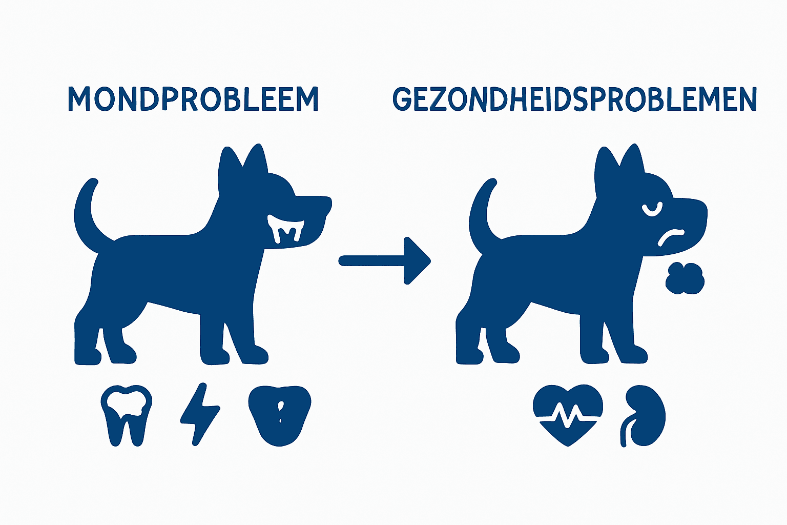 Infographic: het verschil tussen een gezond en een slecht gebit bij honden