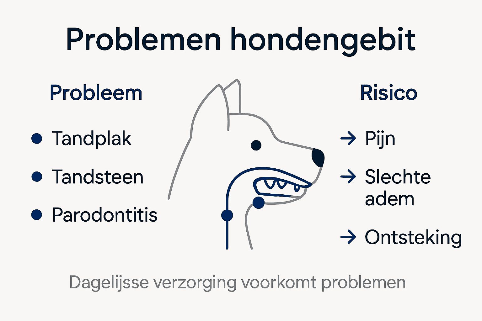 Infographic: veelvoorkomende gebitsproblemen bij honden en de gevolgen daarvan