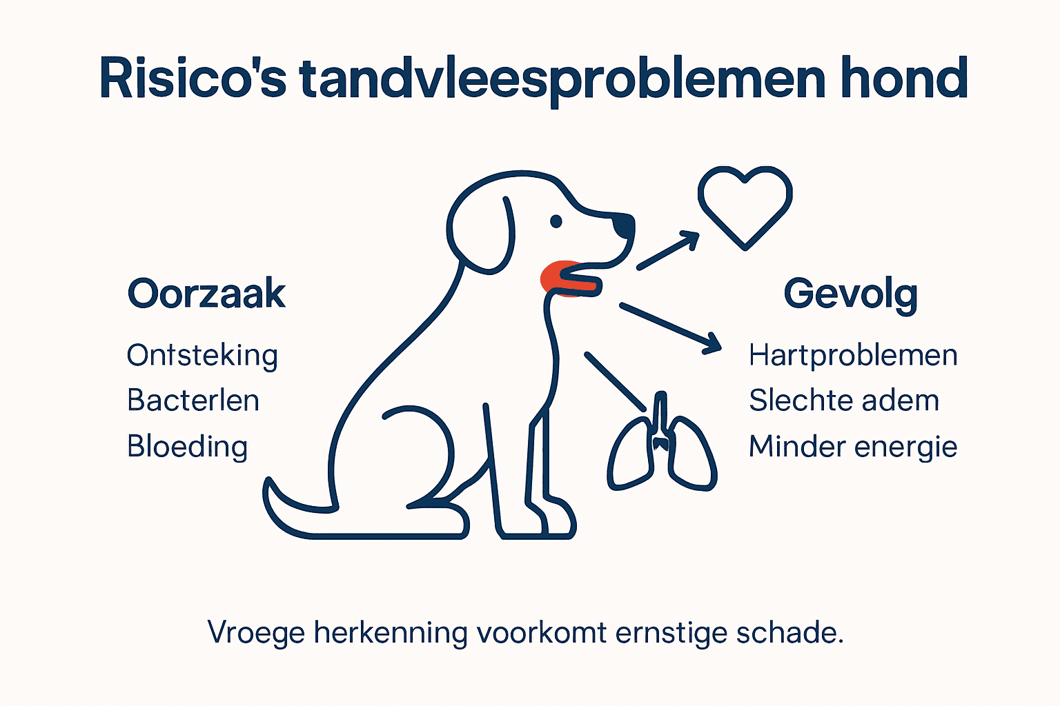 Infographic: de gevaren van tandvleesproblemen bij honden