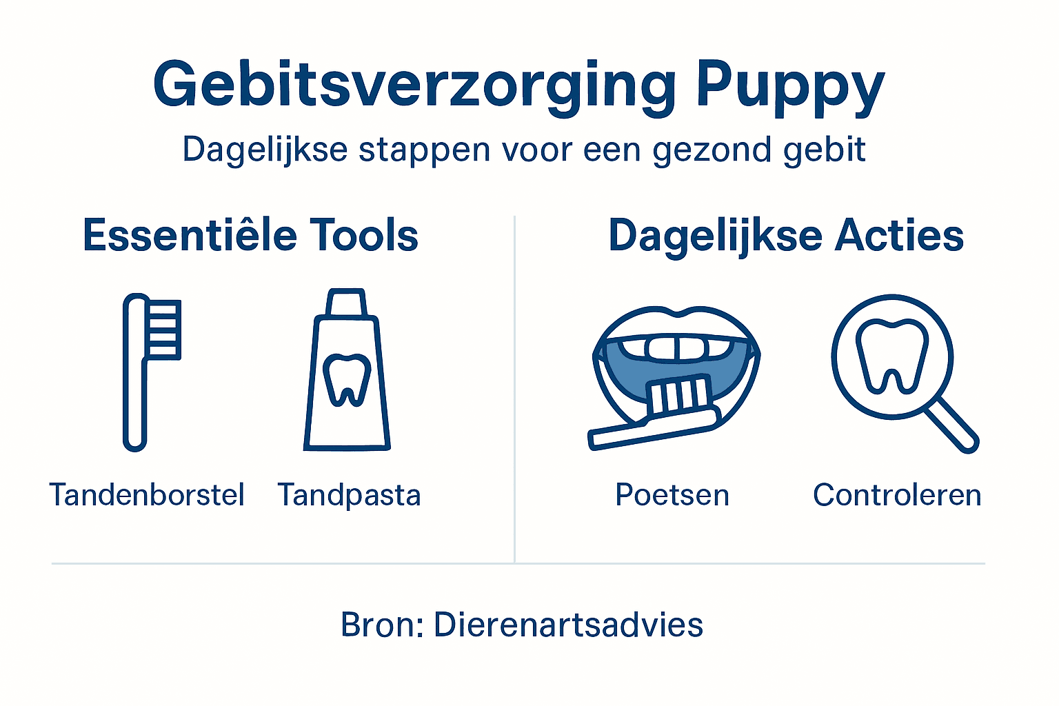 Handige infographic: zo verzorg je dagelijks het gebit van je pup