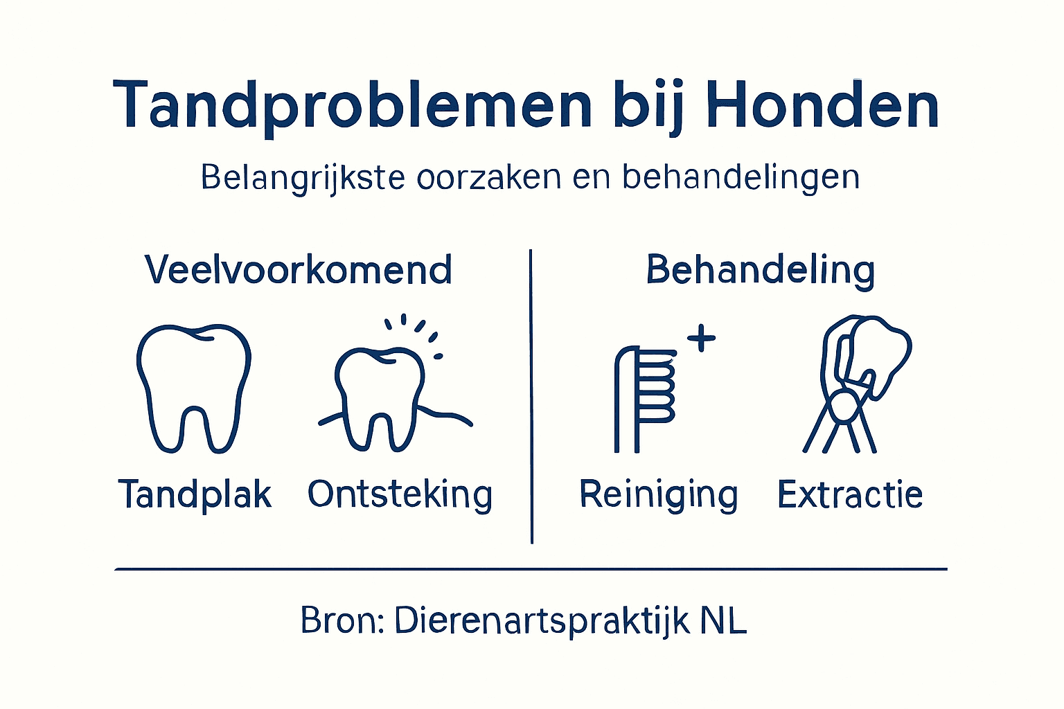 Handige infographic: veelvoorkomende gebitsproblemen bij honden in één oogopslag