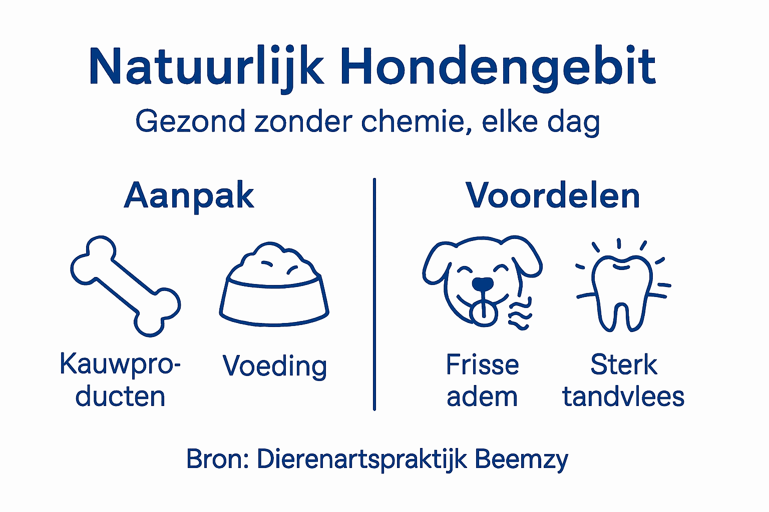 Infographic: Alles wat je moet weten over natuurlijke gebitsverzorging bij honden