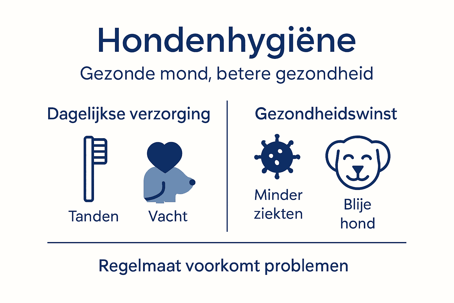 Overzicht: Belangrijkste tips voor een goede hygiëne bij honden