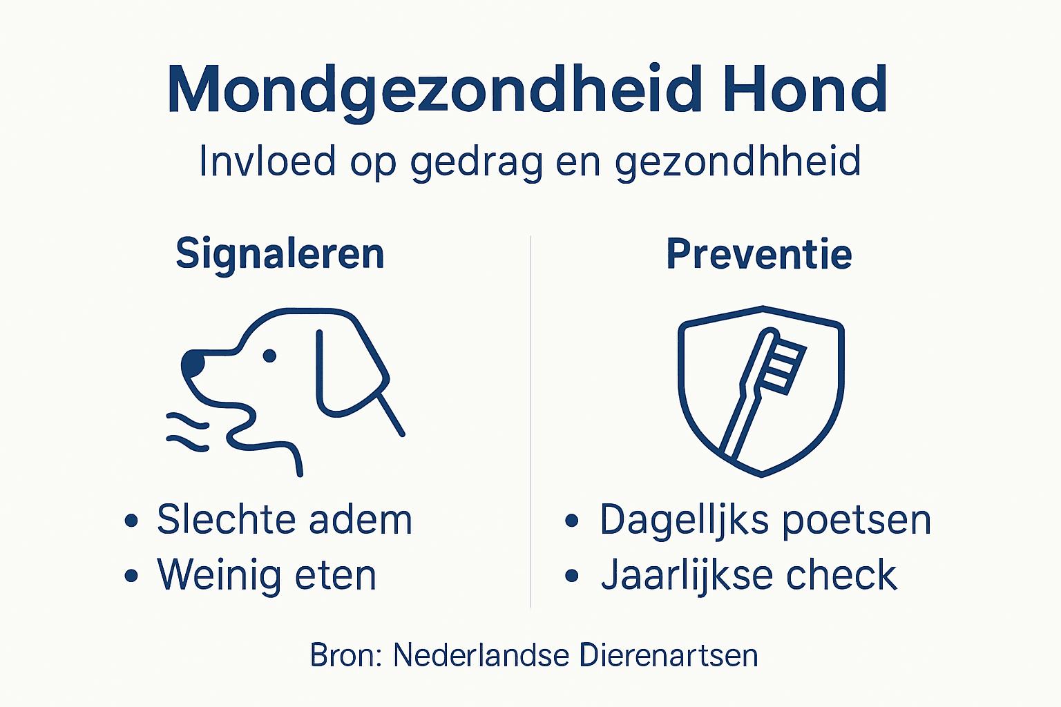 Infographic: Het gebit van je hond en de invloed op zijn gedrag
