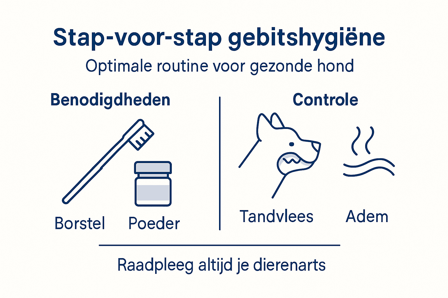 Stappenplan: zo verzorg je het gebit van je hond