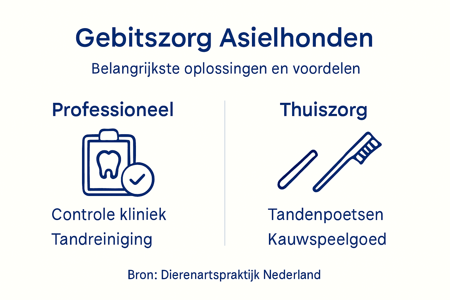 Infographic: praktische tips voor een gezond gebit bij asielhonden