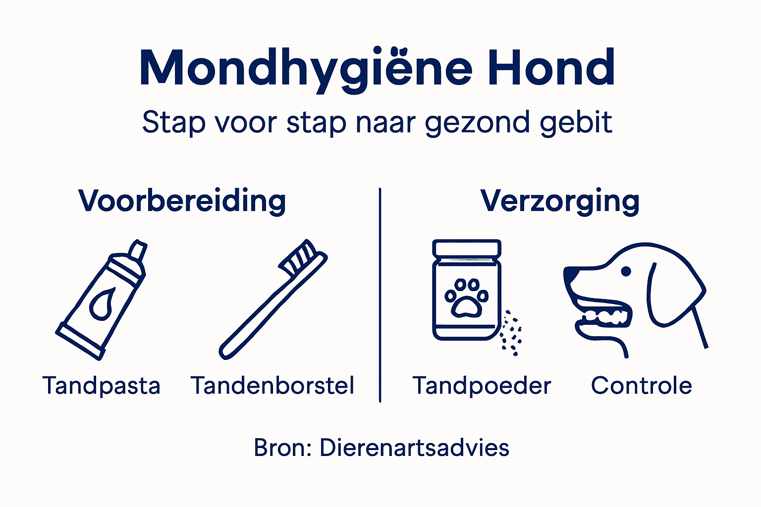Infographic: zo zorg je stap voor stap voor een gezonde hondenbek