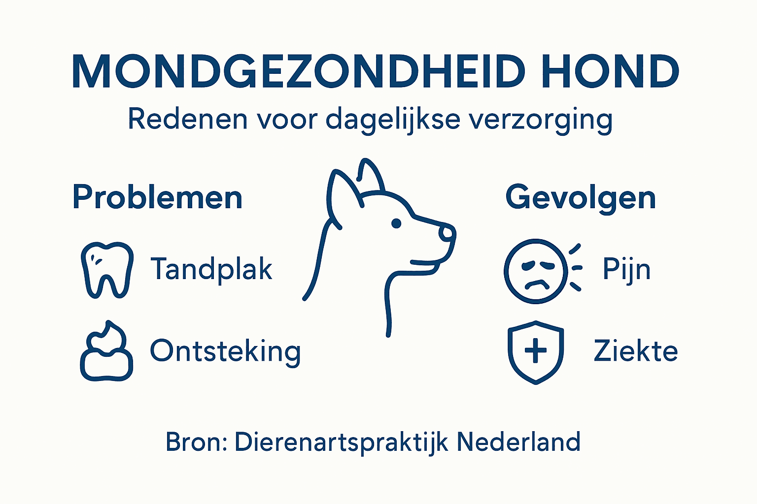 Infographic: alles wat je moet weten over de mondgezondheid van je hond