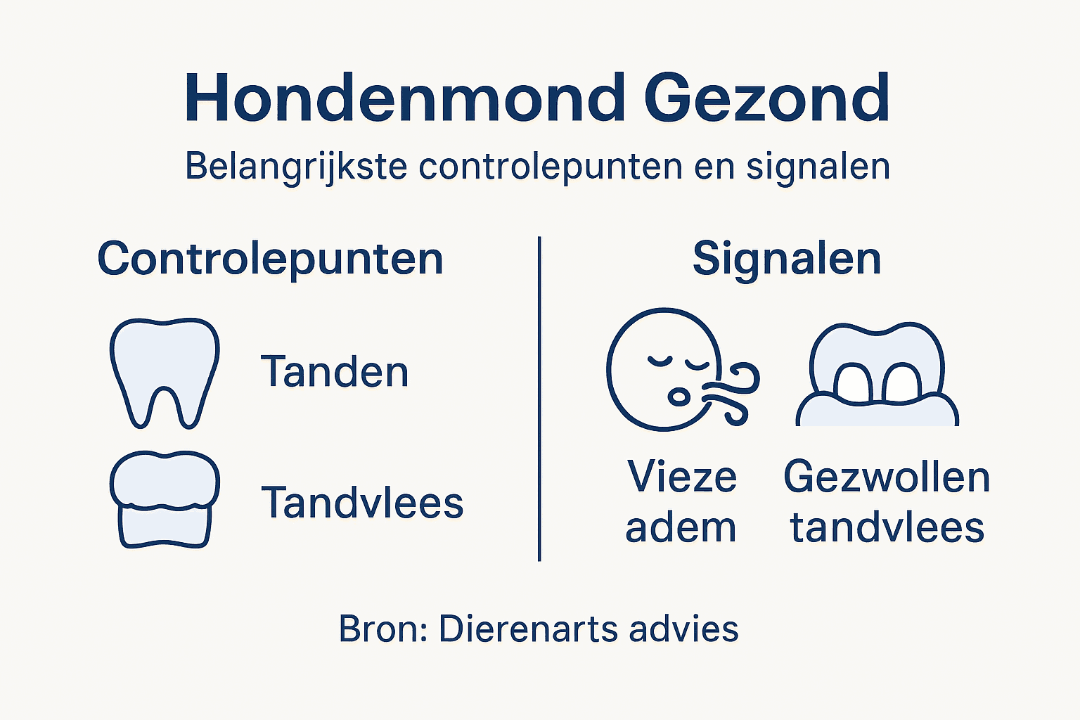 Infographic: Signalen van een gezonde hondenmond