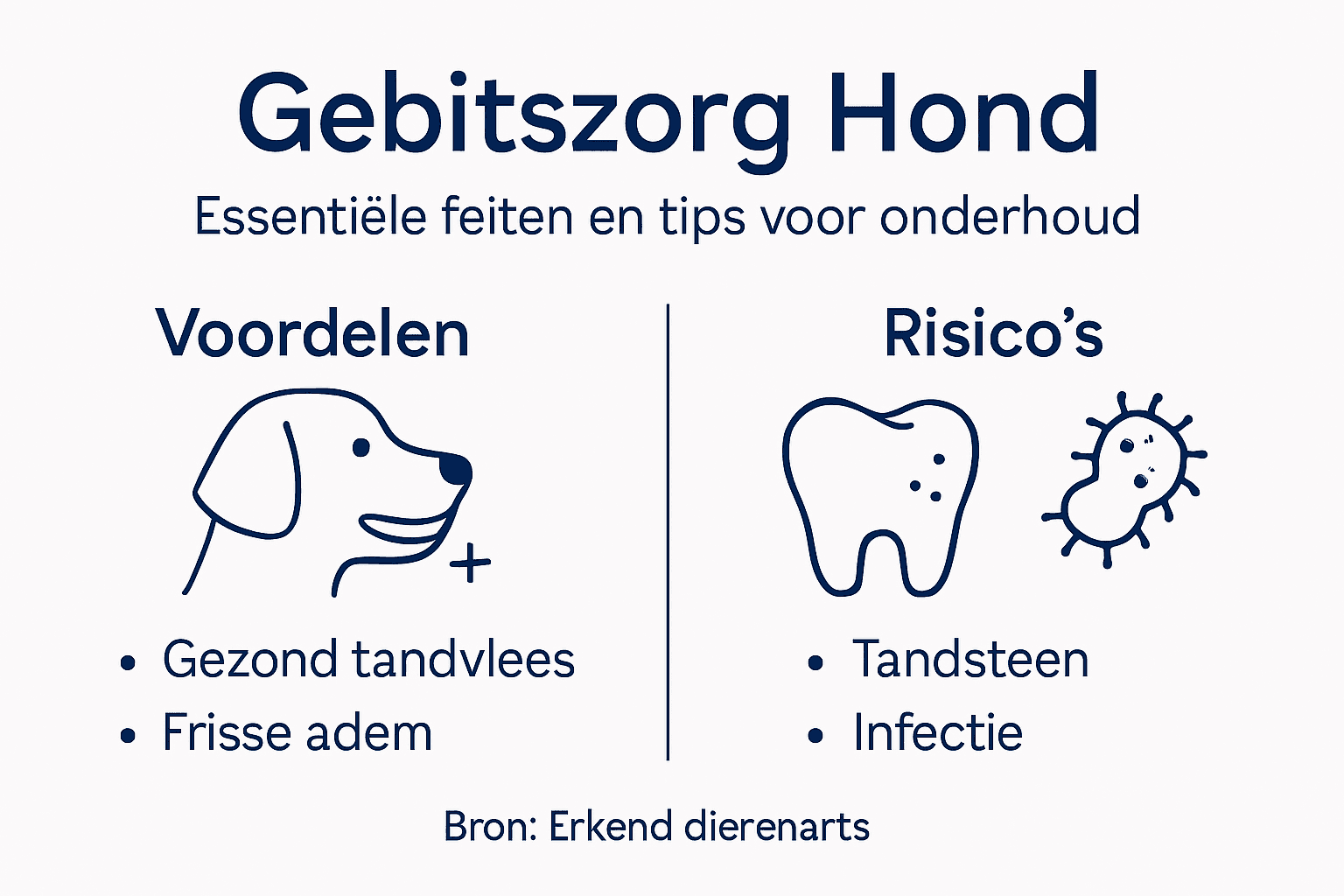 Infographic: de voor- en nadelen van het reinigen van het gebit van je hond in kaart gebracht