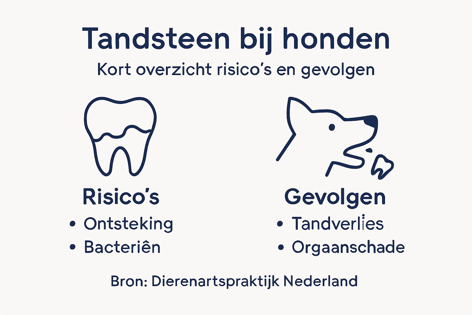 Infographic: Wat voor invloed heeft tandsteen op het gebit van je hond?
