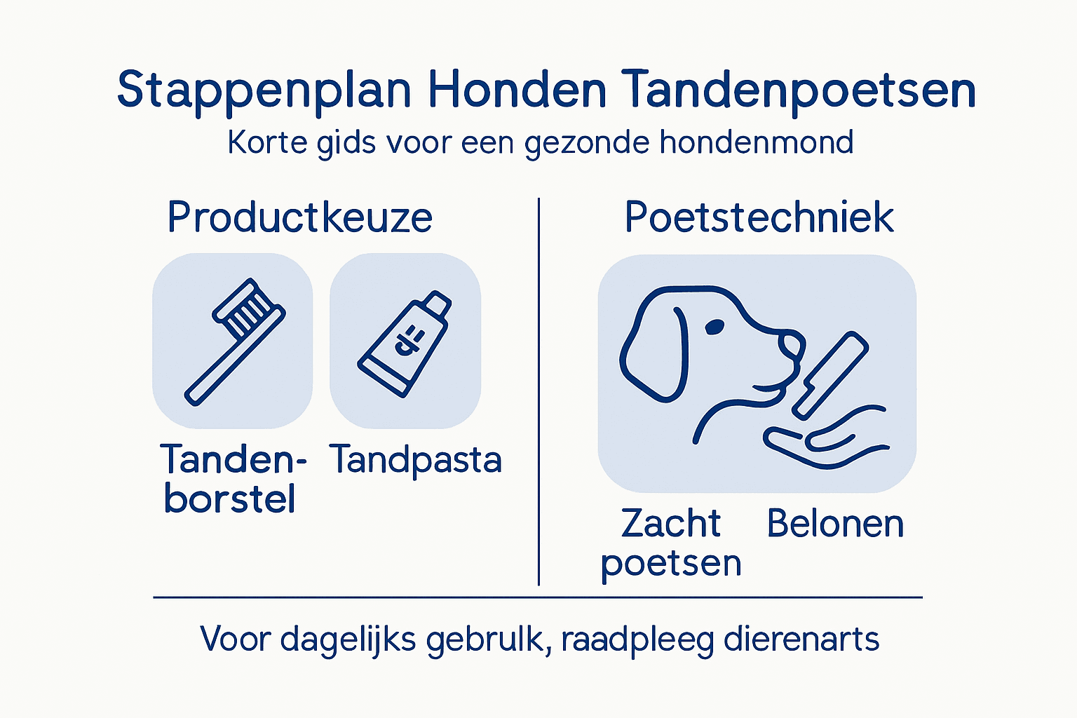 Infographic: stappenplan voor het poetsen van de tanden van je hond