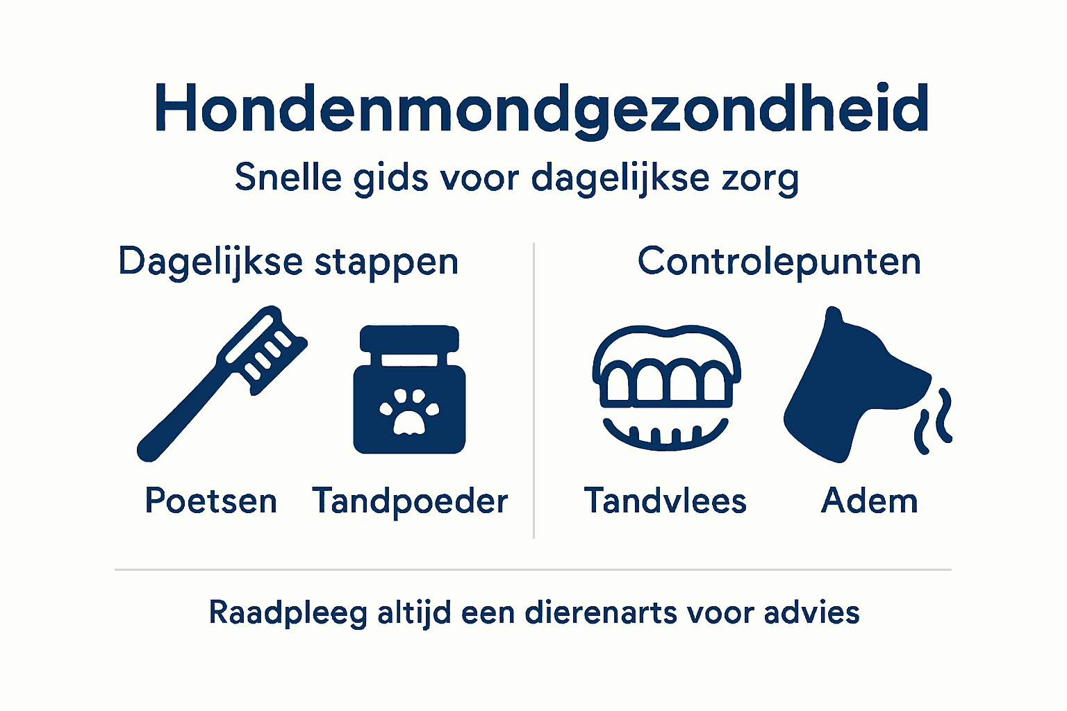 Handige infographic: zo geef je jouw hond elke dag de beste gebitsverzorging