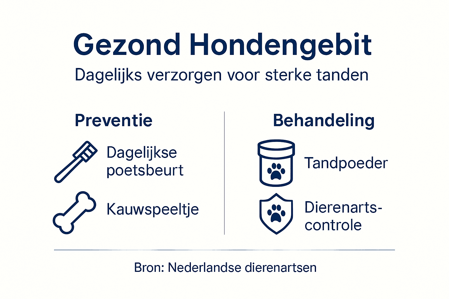Infographic: alles over het voorkomen en behandelen van gebitsproblemen bij honden