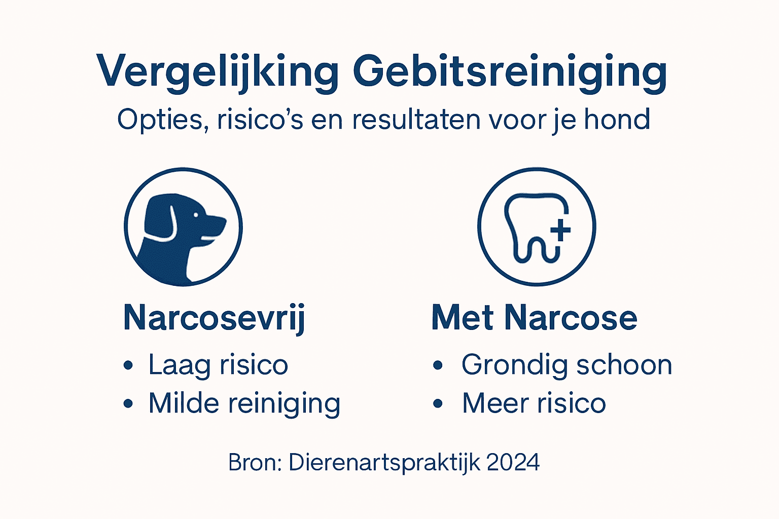 Infographic: Overzicht van verschillende manieren om het gebit van je hond schoon te houden