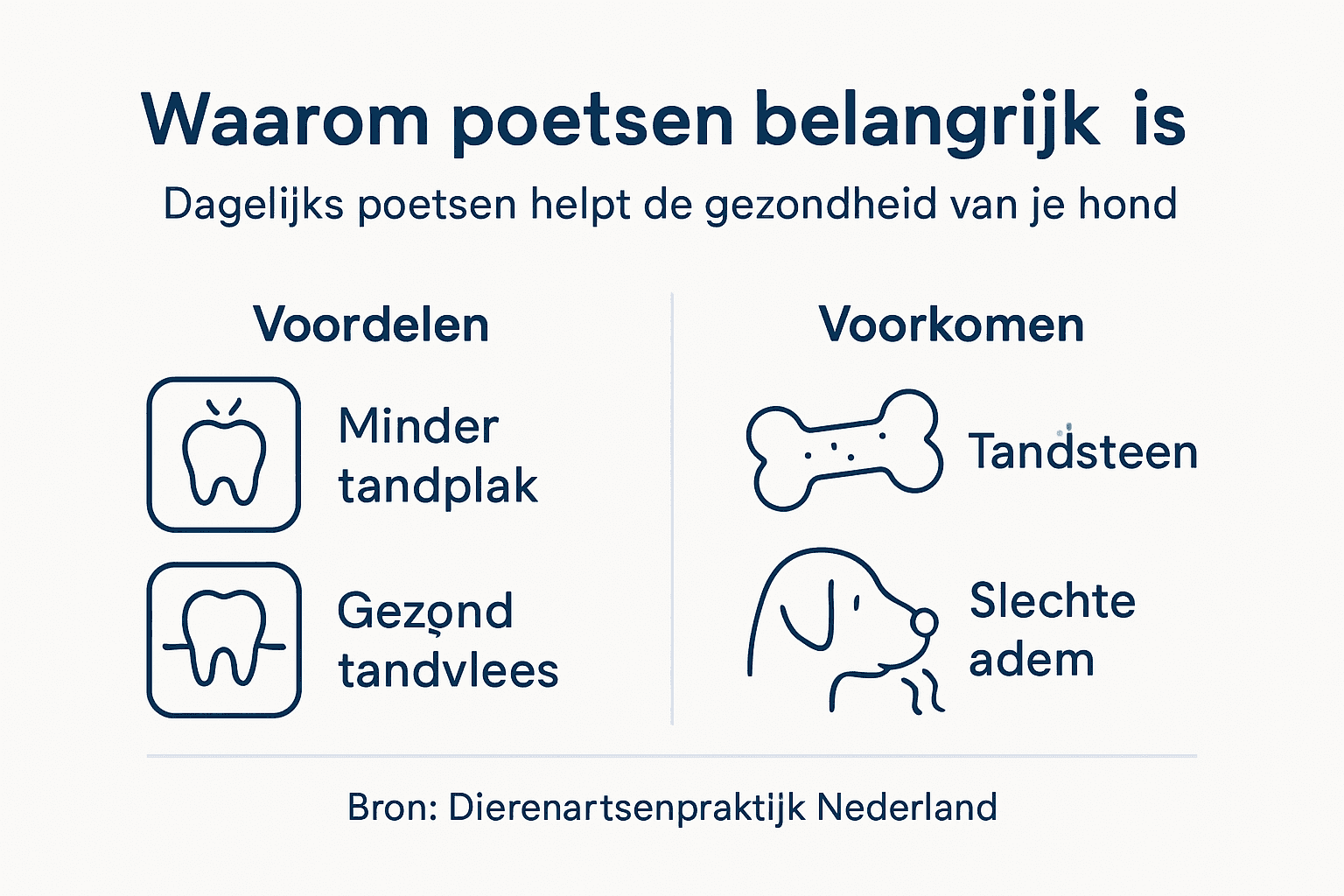 Infographic: Waarom goede gebitsverzorging belangrijk is voor je hond