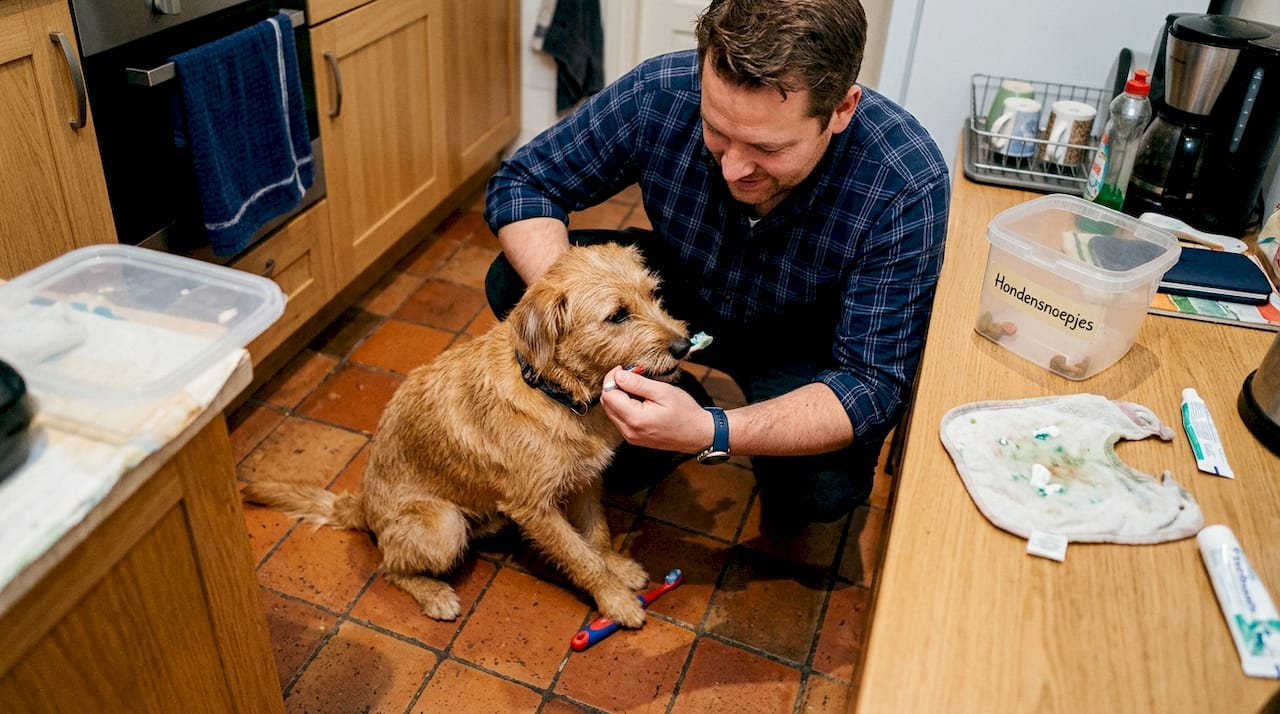 Een man poetst de tanden van zijn hond gewoon aan het aanrecht in de keuken.