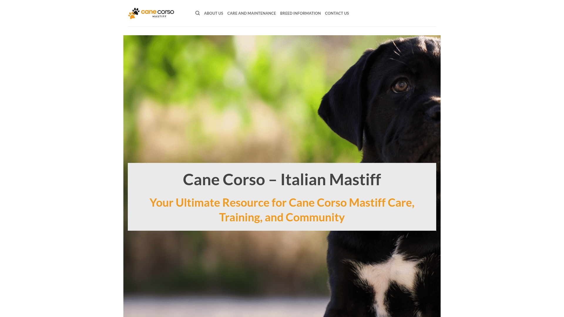 https://cane-corso-mastiff.com
