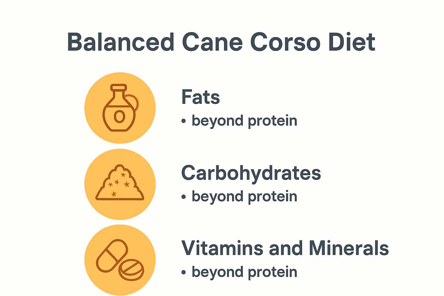 Infographic illustrating balanced Cane Corso diet nutrients