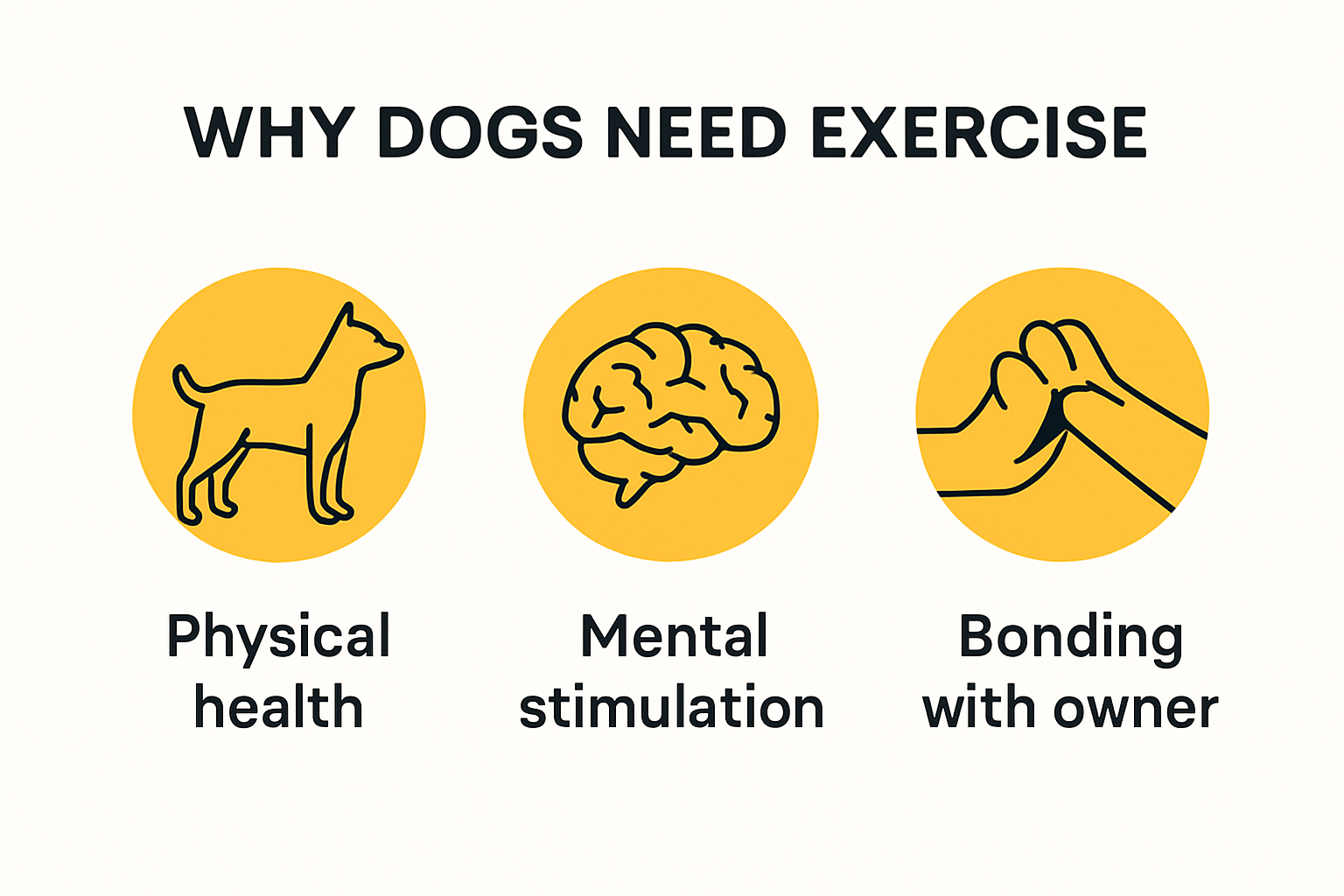 Why dogs need exercise: key benefits visualized
