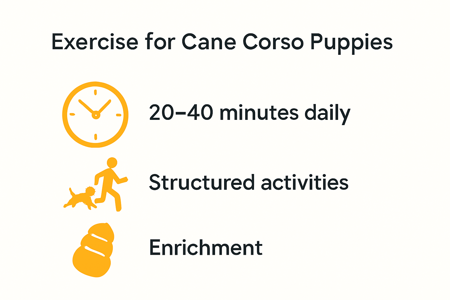 Cane Corso puppy energy and exercise infographic