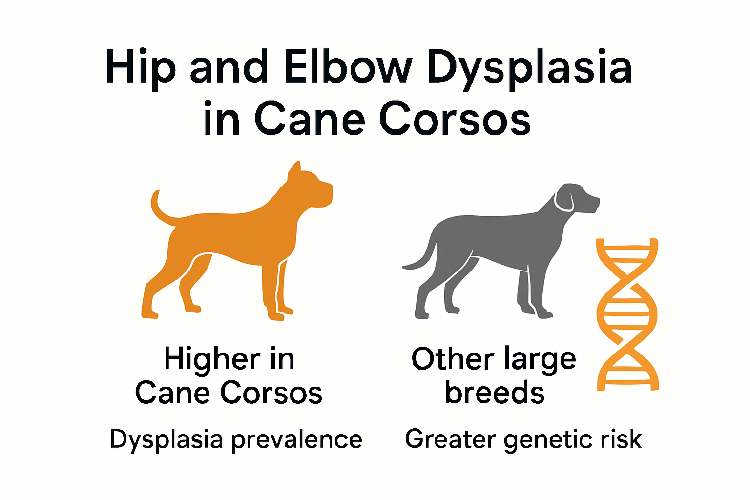 Infographic showing Cane Corso joint disorder risks versus other breeds.