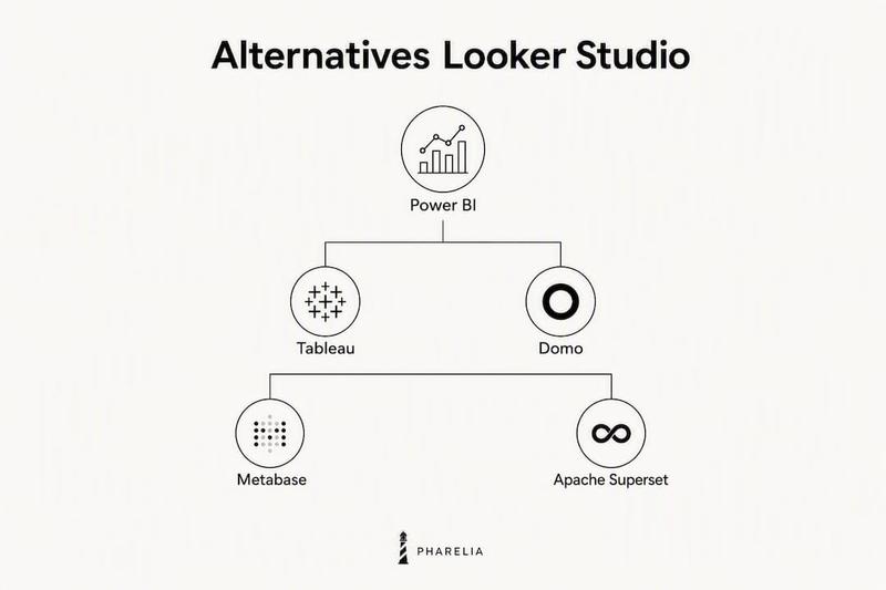 Classement des meilleures alternatives à Looker Studio en infographie